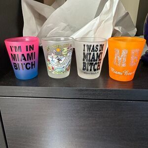 Florida Shot Glass bundle 4 included